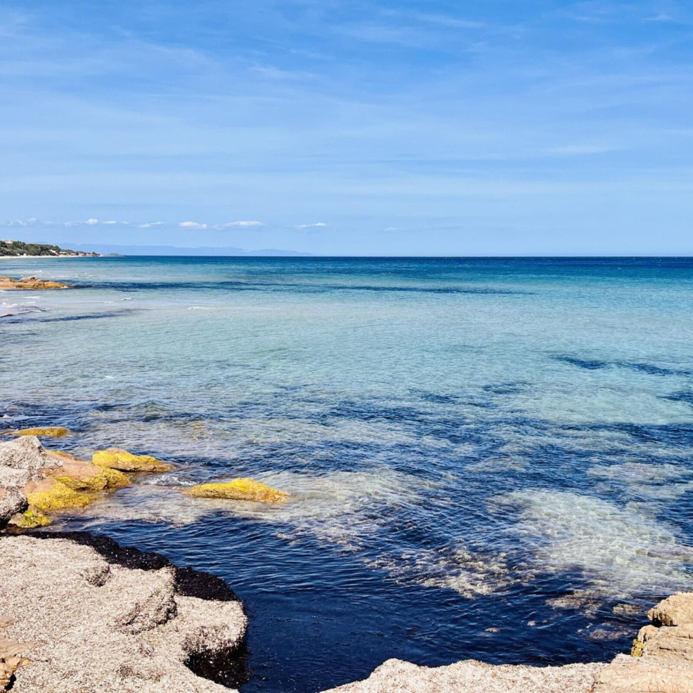 a9ea1ad5 6c9c 4614 9fb4 383635243841.jpg